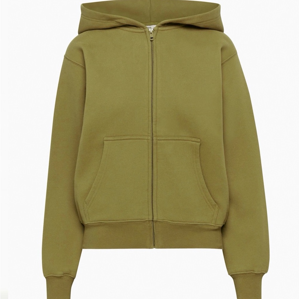 Aritzia Cozy Fleece Hoodie in Ancient Green (2023)